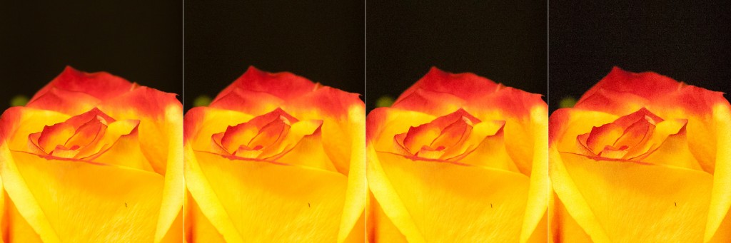 100%-Ausschnitt der Rohdaten von 4 Aufnahmen mit unterschiedlichen ISO-Werten - von links nach rechts: ISO-100, ISO-1600, ISO-2300, ISO-6400.